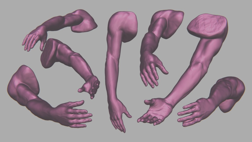 Arm sculpt study preview image 1